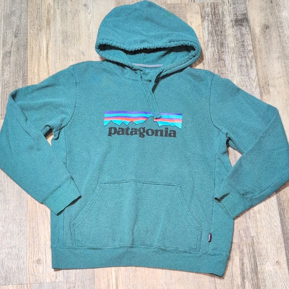 Patagonia Men's Borealis Green Hoodie - Picture 1 of 9